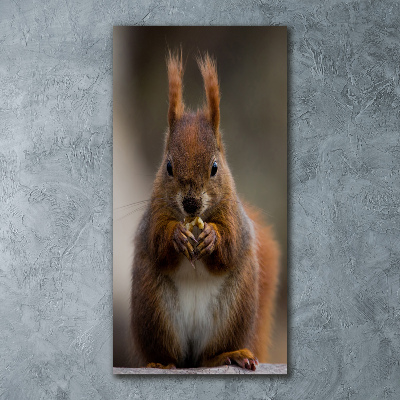 Cuadro de metacrilato moderno efecto cristal vertical Ardilla