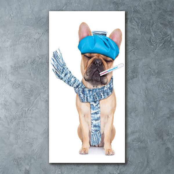 Cuadro de metacrilato moderno efecto cristal vertical perro enfermo