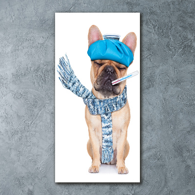 Cuadro de metacrilato moderno efecto cristal vertical perro enfermo