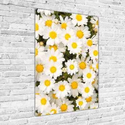 Cuadro de metacrilato vertical flores de margarita