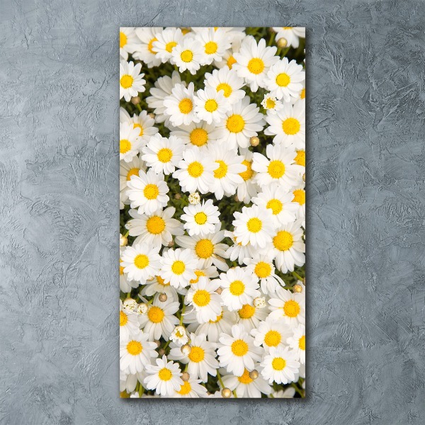 Cuadro de metacrilato vertical flores de margarita