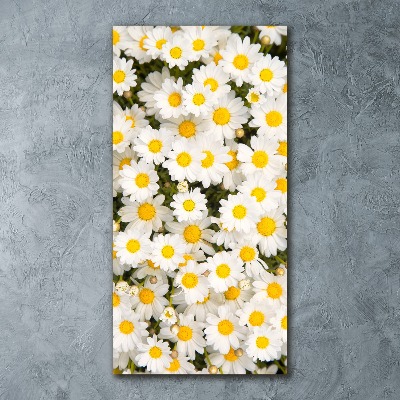 Cuadro de metacrilato vertical flores de margarita