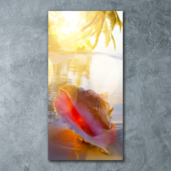 Cuadro decorativo en acrílico brillante vertical Una concha en la playa
