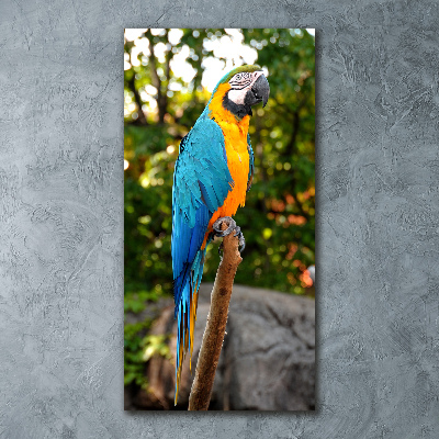 Impresión en metacrilato de alta calidad vertical Loro guacamayo