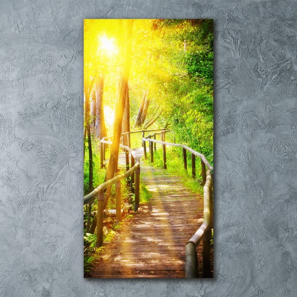 Cuadro de metacrilato moderno efecto cristal vertical Camino en el bosque