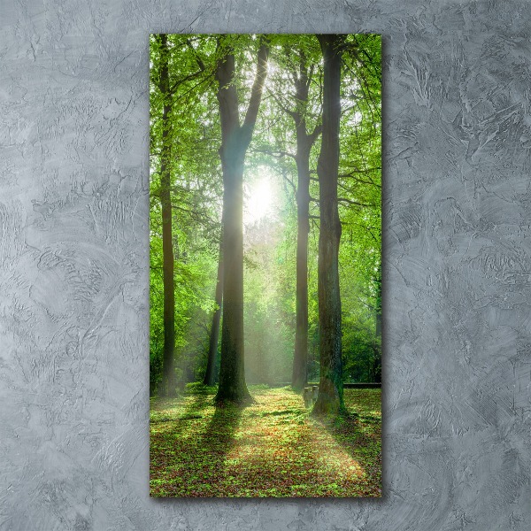 Impresión en metacrilato de alta calidad vertical El sol en el bosque