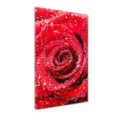 Cuadro de metacrilato moderno efecto cristal vertical Rosa roja