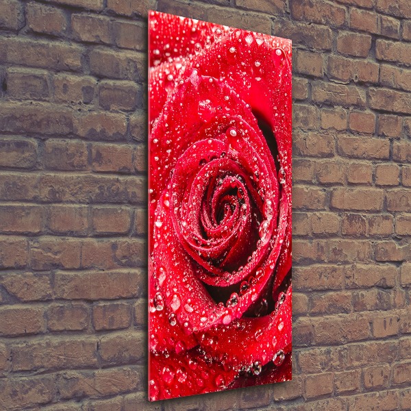 Cuadro de metacrilato moderno efecto cristal vertical Rosa roja