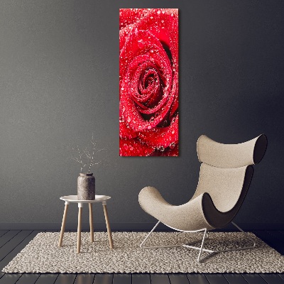 Cuadro de metacrilato moderno efecto cristal vertical Rosa roja