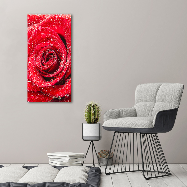 Cuadro de metacrilato moderno efecto cristal vertical Rosa roja