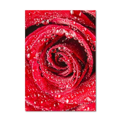 Cuadro de metacrilato moderno efecto cristal vertical Rosa roja