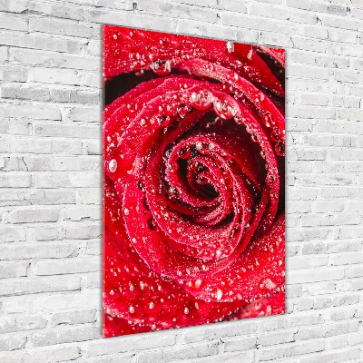 Cuadro de metacrilato moderno efecto cristal vertical Rosa roja
