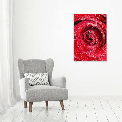 Cuadro de metacrilato moderno efecto cristal vertical Rosa roja