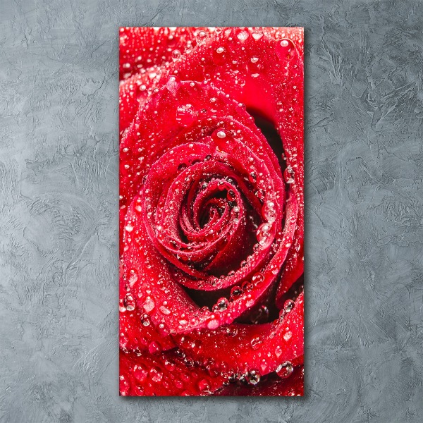 Cuadro de metacrilato moderno efecto cristal vertical Rosa roja