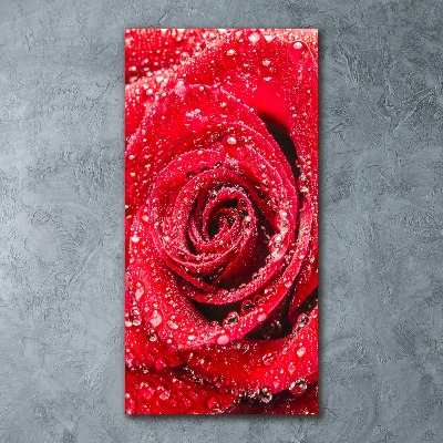 Cuadro de metacrilato moderno efecto cristal vertical Rosa roja