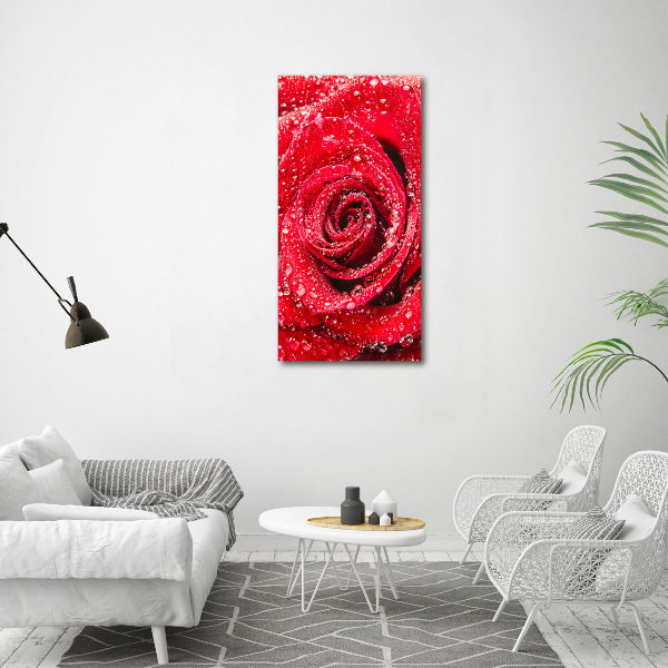 Cuadro de metacrilato moderno efecto cristal vertical Rosa roja