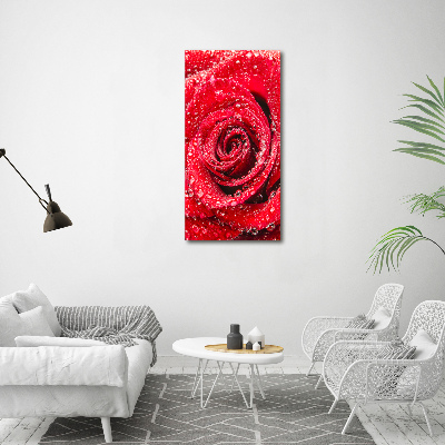 Cuadro de metacrilato moderno efecto cristal vertical Rosa roja