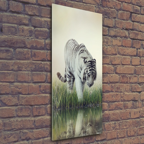 Cuadro decorativo en acrílico brillante vertical Tigre blanco