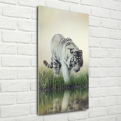Cuadro decorativo en acrílico brillante vertical Tigre blanco