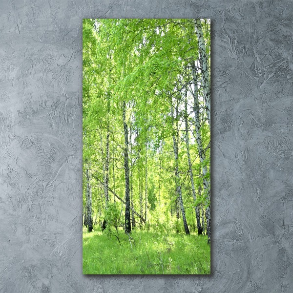Cuadro de metacrilato vertical bosque de abedules