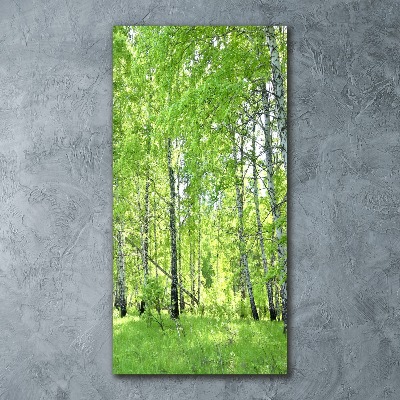 Cuadro de metacrilato vertical bosque de abedules