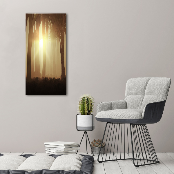 Cuadro de metacrilato moderno efecto cristal vertical Niebla en el bosque