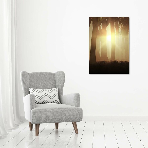 Cuadro de metacrilato moderno efecto cristal vertical Niebla en el bosque