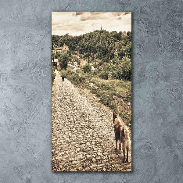 Cuadro de metacrilato moderno efecto cristal vertical Dos perros de la colina