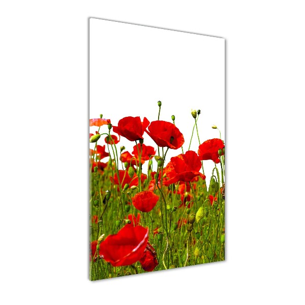 Cuadro de metacrilato moderno efecto cristal vertical Campo de amapolas