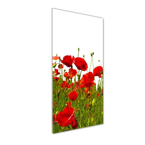 Cuadro de metacrilato moderno efecto cristal vertical Campo de amapolas