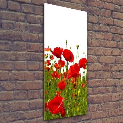 Cuadro de metacrilato moderno efecto cristal vertical Campo de amapolas