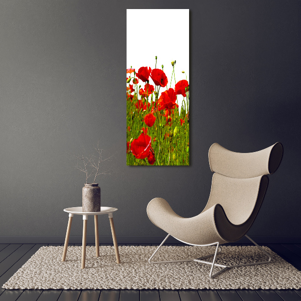 Cuadro de metacrilato moderno efecto cristal vertical Campo de amapolas