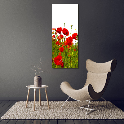 Cuadro de metacrilato moderno efecto cristal vertical Campo de amapolas