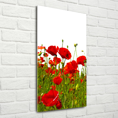 Cuadro de metacrilato moderno efecto cristal vertical Campo de amapolas