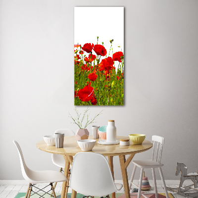 Cuadro de metacrilato moderno efecto cristal vertical Campo de amapolas