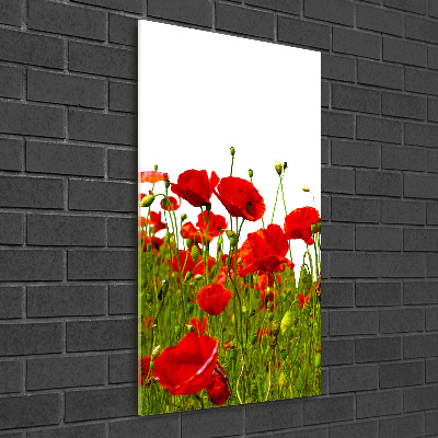 Cuadro de metacrilato moderno efecto cristal vertical Campo de amapolas