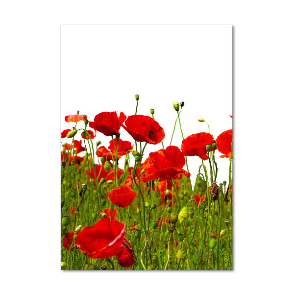 Cuadro de metacrilato moderno efecto cristal vertical Campo de amapolas