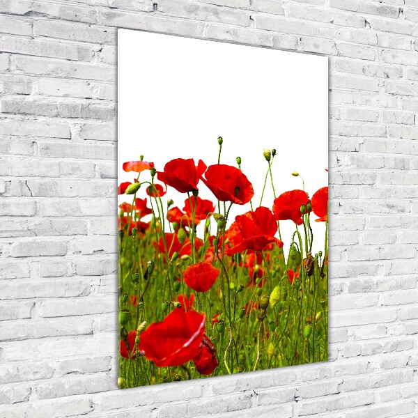 Cuadro de metacrilato moderno efecto cristal vertical Campo de amapolas