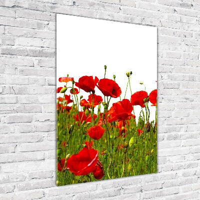 Cuadro de metacrilato moderno efecto cristal vertical Campo de amapolas