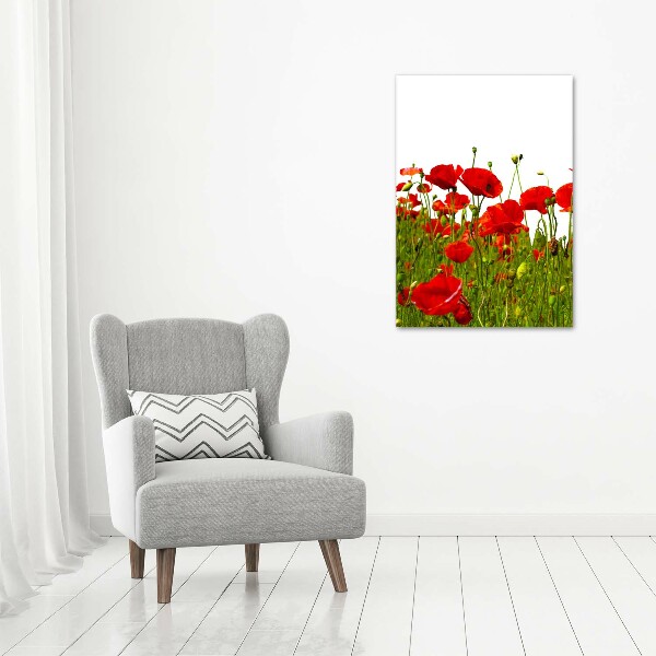 Cuadro de metacrilato moderno efecto cristal vertical Campo de amapolas
