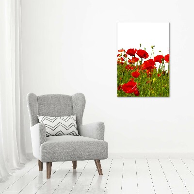 Cuadro de metacrilato moderno efecto cristal vertical Campo de amapolas