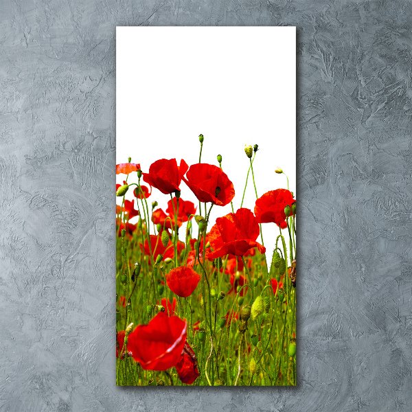 Cuadro de metacrilato moderno efecto cristal vertical Campo de amapolas