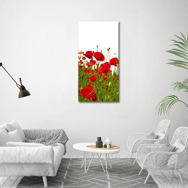 Cuadro de metacrilato moderno efecto cristal vertical Campo de amapolas