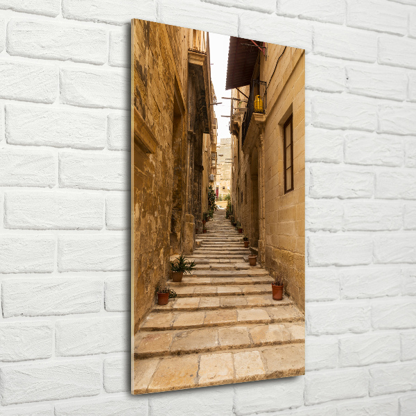 Cuadro de metacrilato vertical Calles de Malta