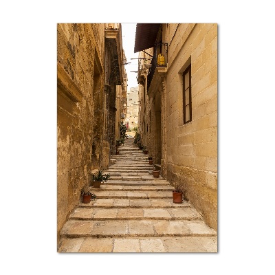 Cuadro de metacrilato vertical Calles de Malta