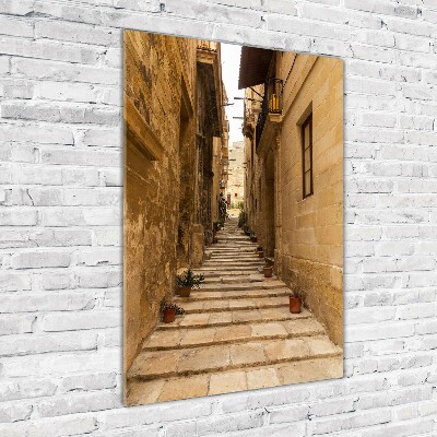 Cuadro de metacrilato vertical Calles de Malta