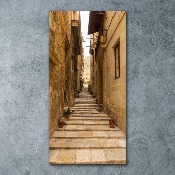 Cuadro de metacrilato vertical Calles de Malta