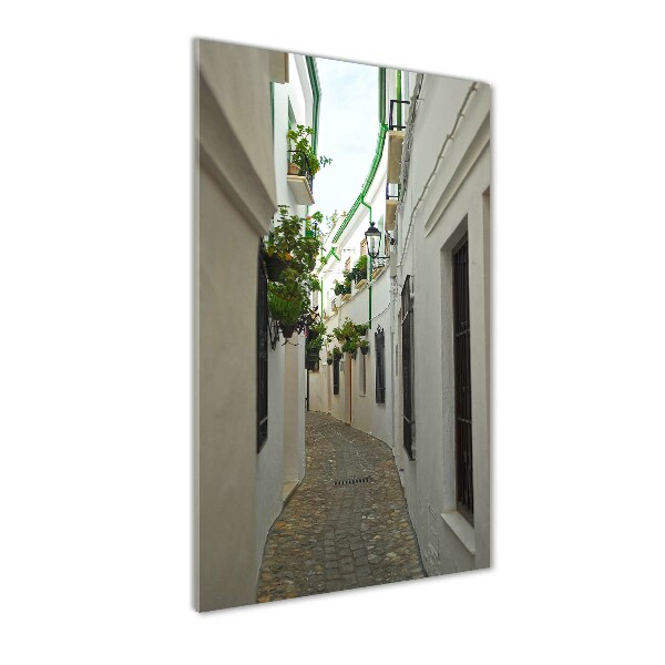 Impresión en metacrilato de alta calidad vertical Las calles de Andalucía