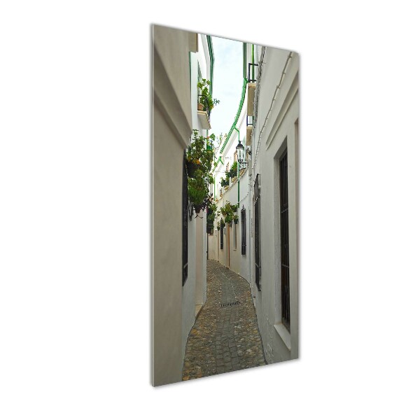 Impresión en metacrilato de alta calidad vertical Las calles de Andalucía