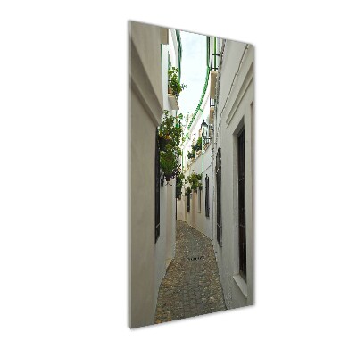 Impresión en metacrilato de alta calidad vertical Las calles de Andalucía